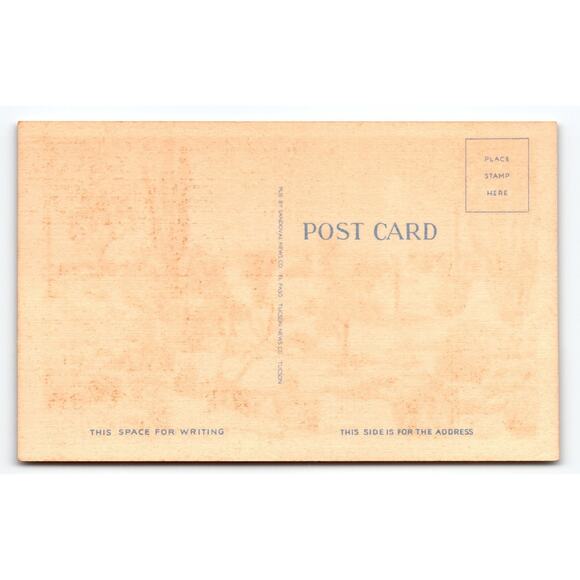 Vintage Varieties of Desert Cactus Postcard by Sandoval News Co. - Picture 2 of 2